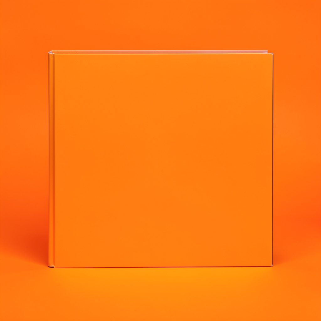 A digital album layout displayed on a computer screen with a clean, organized photo grid